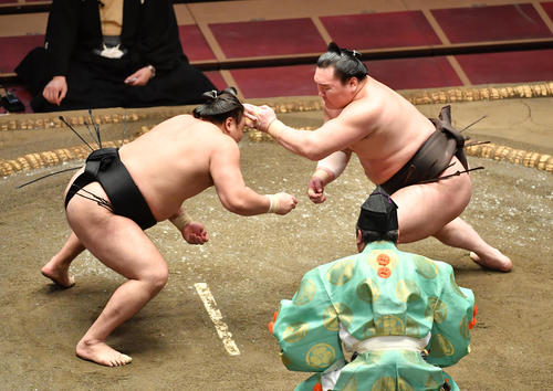 白鵬（右）は立ち合いで霧馬山に張り手を見舞う（撮影・柴田隆二）