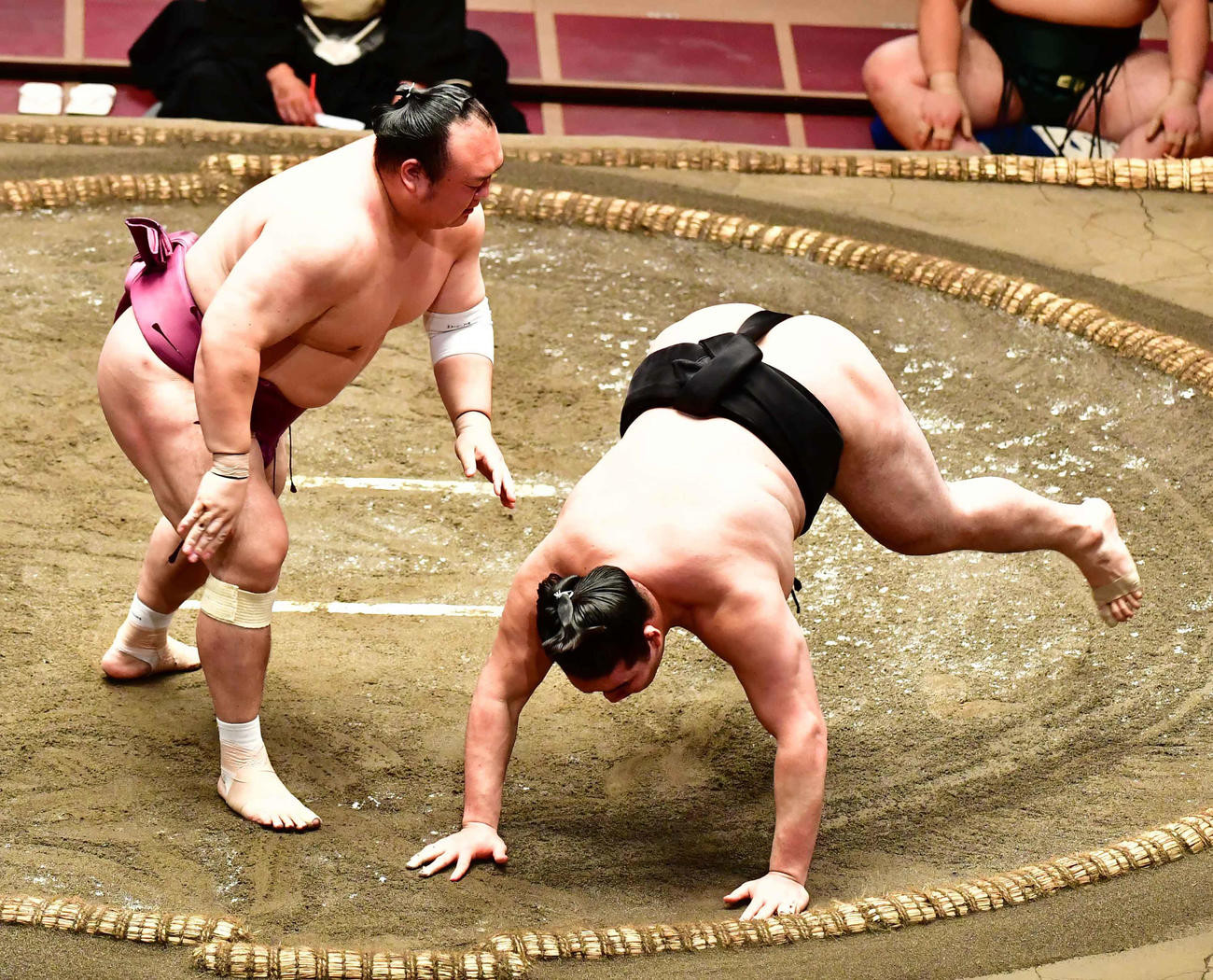 宝富士（左）は突き落としで竜電を下す（撮影・小沢裕）