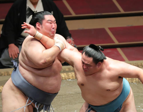 玉鷲（右）の攻めに耐える徳勝龍（撮影・河田真司）
