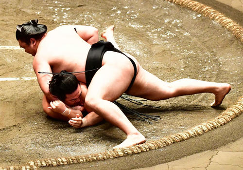 霧馬山は炎鵬（下）を上手投げで下す（撮影・小沢裕）