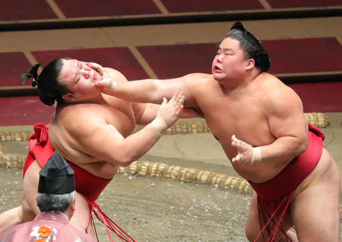 阿武咲（左）を攻める大栄翔（撮影・河田真司）