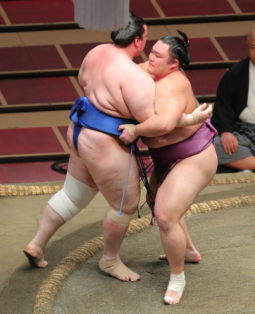 碧山（左）を寄り切りで下す朝乃山（撮影・河田真司）