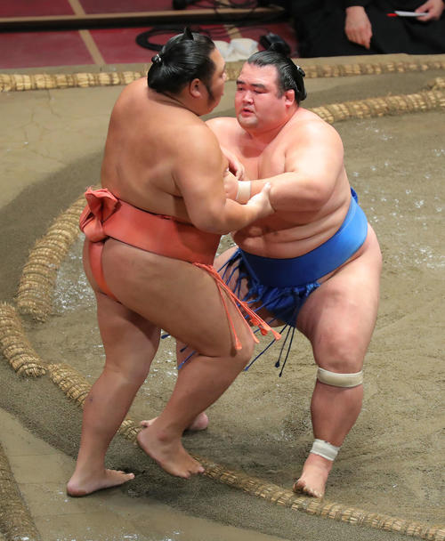 千代大龍（左）を寄り切りで破る琴奨菊（撮影・河田真司）