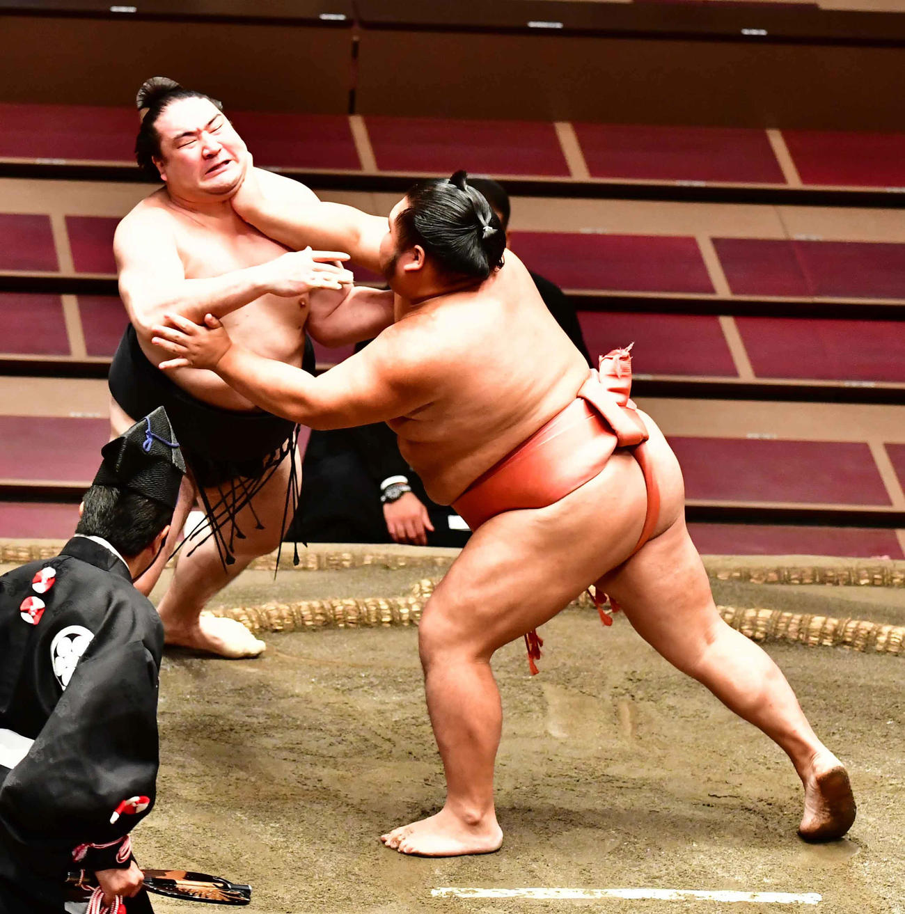 千代大龍（右）は突き出しで竜電を下す（撮影・小沢裕）