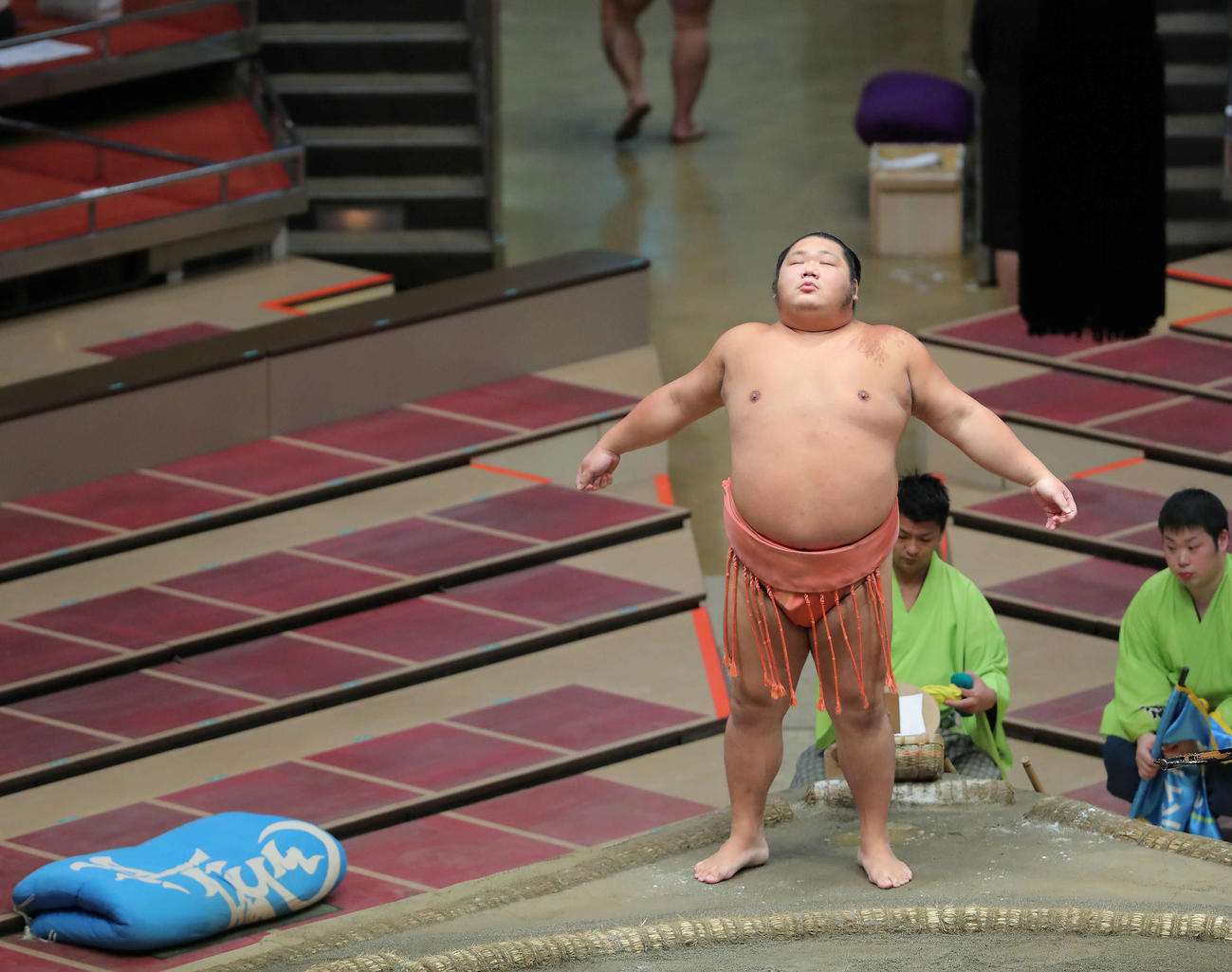 大きく伸びをする千代大龍（撮影・河田真司）　