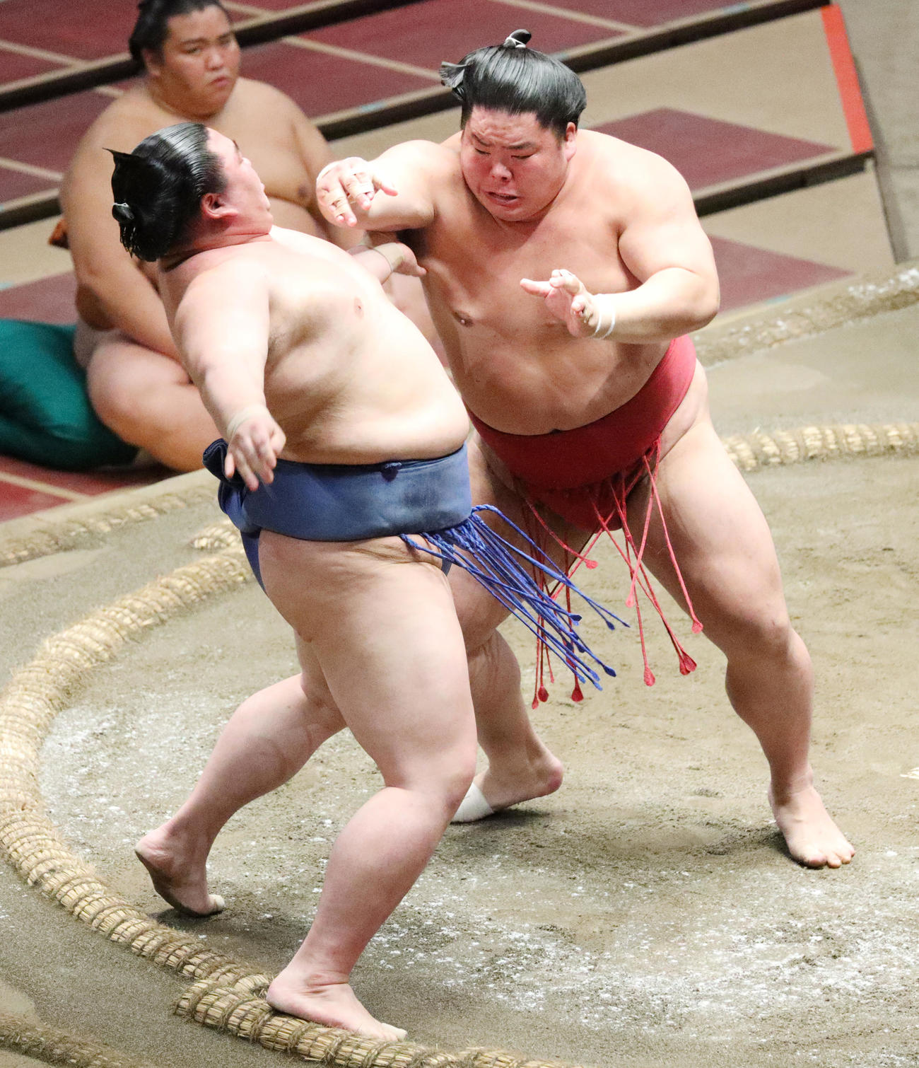 正代（左）を突き出しで破る大栄翔（撮影・中島郁夫）