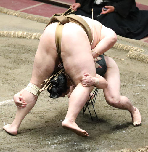 輝（上）のはたき込みに敗れる炎鵬（撮影・中島郁夫）