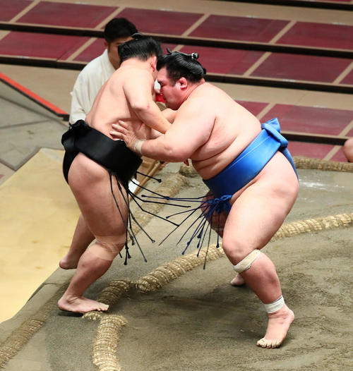 琴奨菊（右）は寄り切りで照強を破る（撮影・足立雅史）