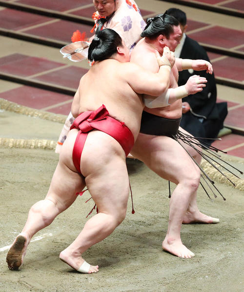 白鵬（右）の後ろを取る大栄翔（撮影・中島郁夫）