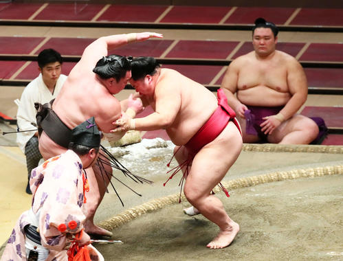 白鵬（左）は大栄翔に押し出しで敗れる。後方右は朝乃山（撮影・足立雅史）