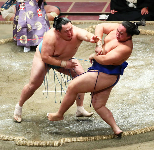 玉鷲（左）は突き倒しで琴勝峰を破る（撮影・足立雅史）