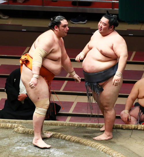 魁聖（左）は寄り切りで徳勝龍を破る（撮影・足立雅史）