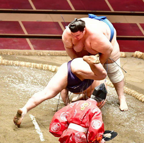 碧山（右）ははたき込みで阿武咲を破る（撮影・小沢裕）