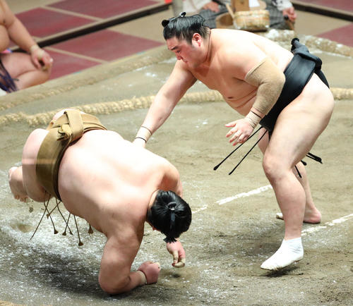 輝（左）を突き落としで破る隠岐の海（撮影・中島郁夫）