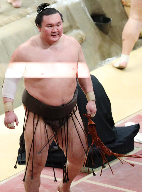 遠くをじっと見つめる白鵬（撮影・中島郁夫）