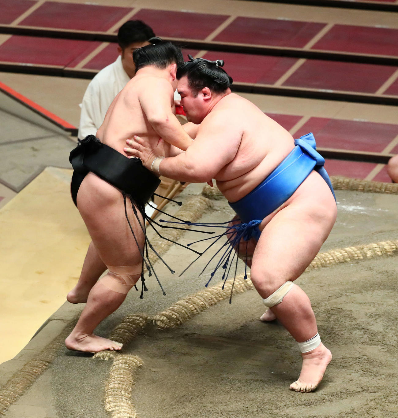 琴奨菊（右）は寄り切りで照強を破る（撮影・足立雅史）