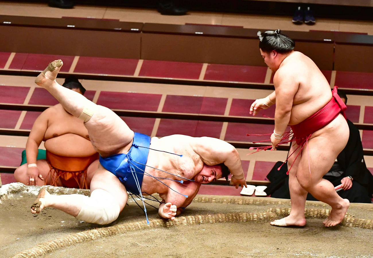 大栄翔（右）は突き落としで碧山を破る（撮影・小沢裕）