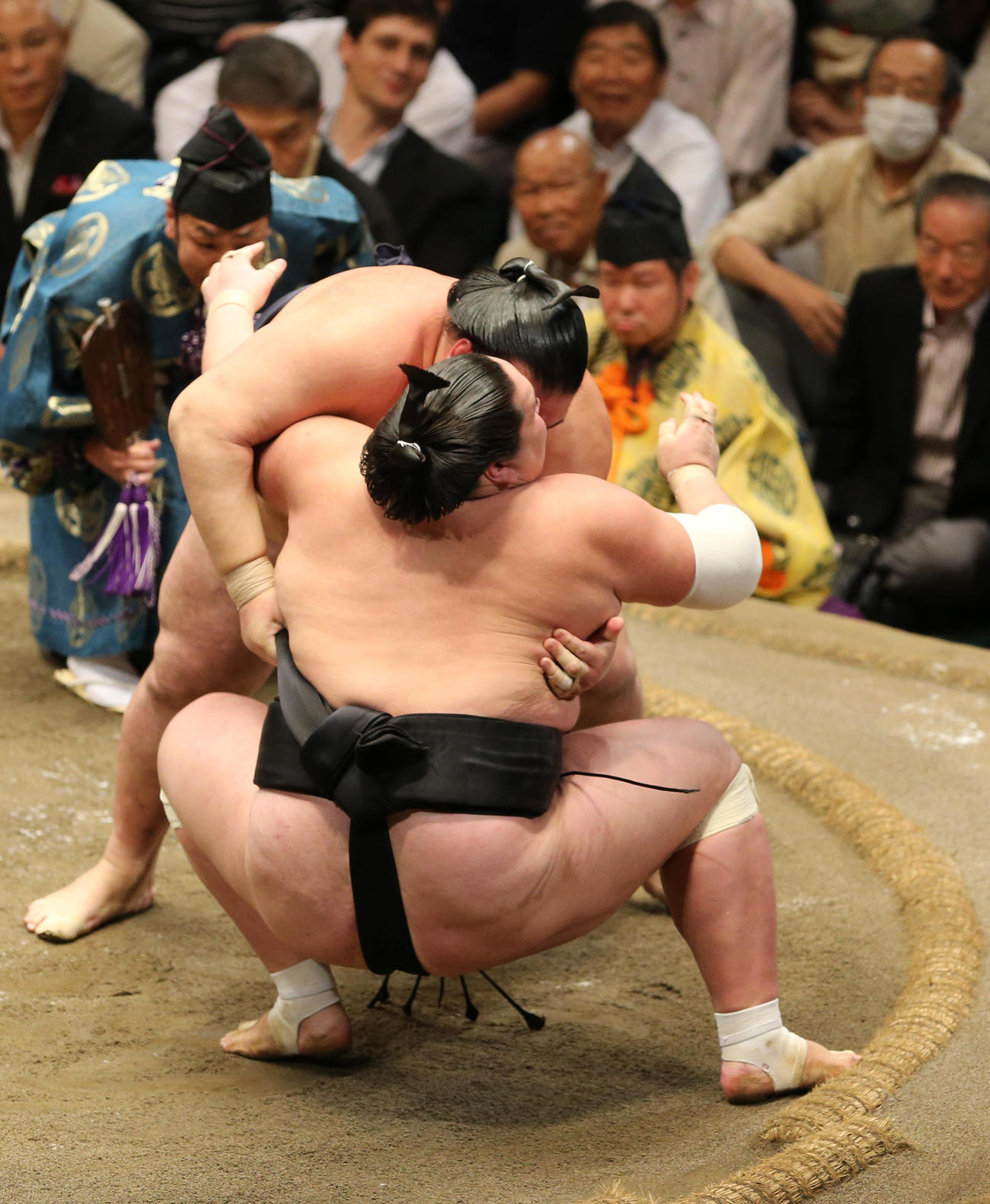 稀勢の里（奥）の寄りにヒザから崩れ落ちる照ノ富士（15年9月25日）
