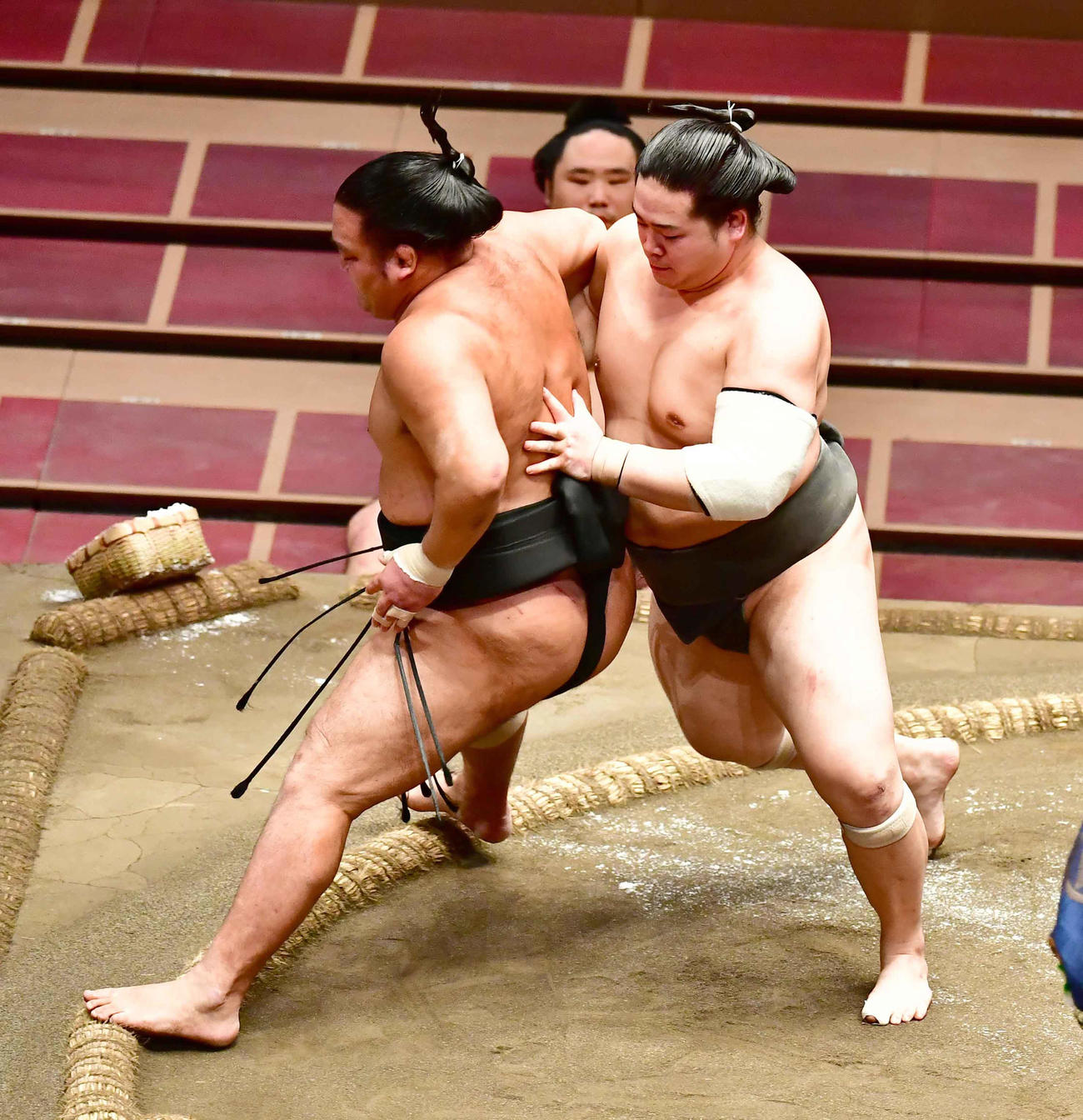 錦富士（右）は送り出しで千代の海を破る（撮影・小沢裕）