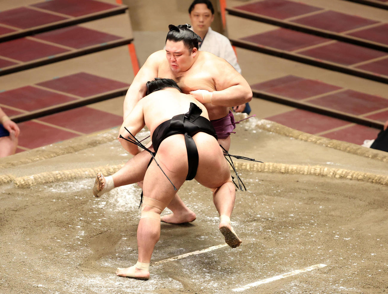 朝乃山を足取りで破る照強（撮影・鈴木正人）