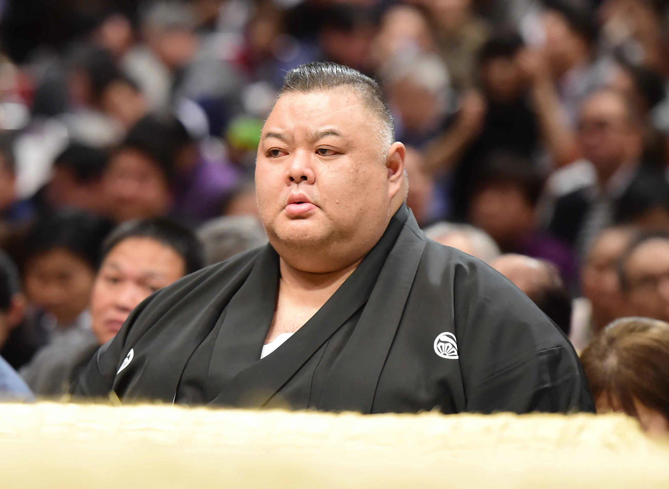 田子ノ浦親方