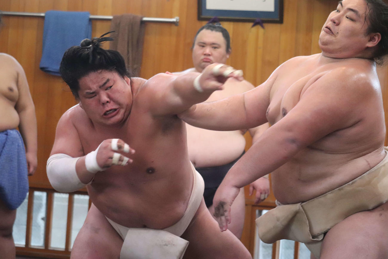 申し合い稽古をする新関脇の大栄翔（左）