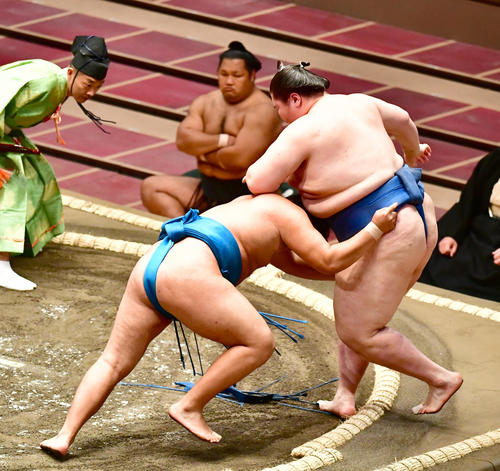 豊昇龍（左）は逸ノ城を寄り切りで破り新入幕初白星を挙げる（撮影・小沢裕）