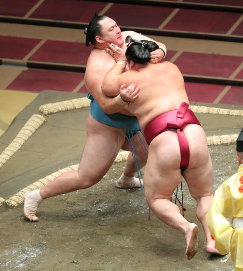 大栄翔（右）の攻めに耐える玉鷲（撮影・河田真司）
