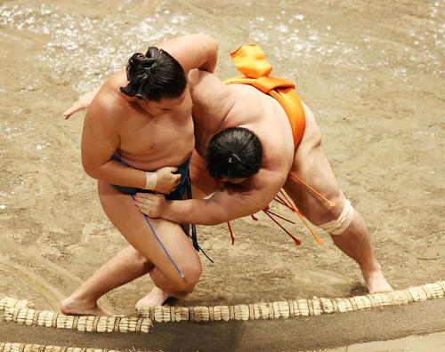 豊昇龍（左）寄り倒しで破る志摩ノ海（撮影・鈴木正人）