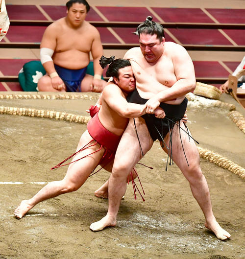 背後に回った炎鵬(左)は竜電を送り出しで破る(撮影・小沢裕)