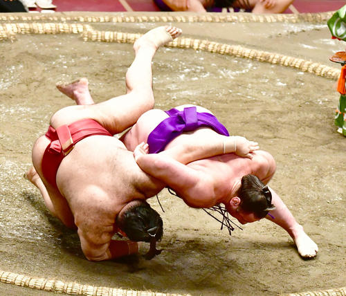 栃ノ心(右)は掛け投げで高安を破る(撮影・小沢裕)