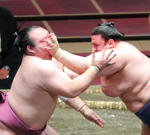 宝富士(左)を攻める碧山(撮影・河田真司)
