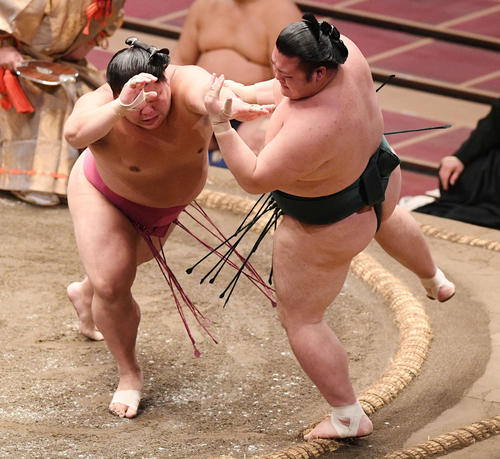 豊山(右)を押し出しで破る大栄翔(撮影・滝沢徹郎)