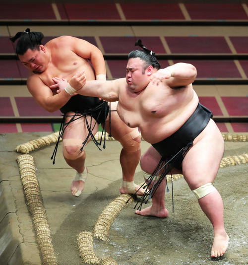 照強(左)を突き出しで破る貴景勝(撮影・河田真司)