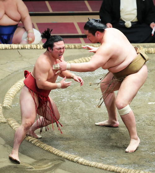 炎鵬(左)を突き出しで破る輝(撮影・河田真司)