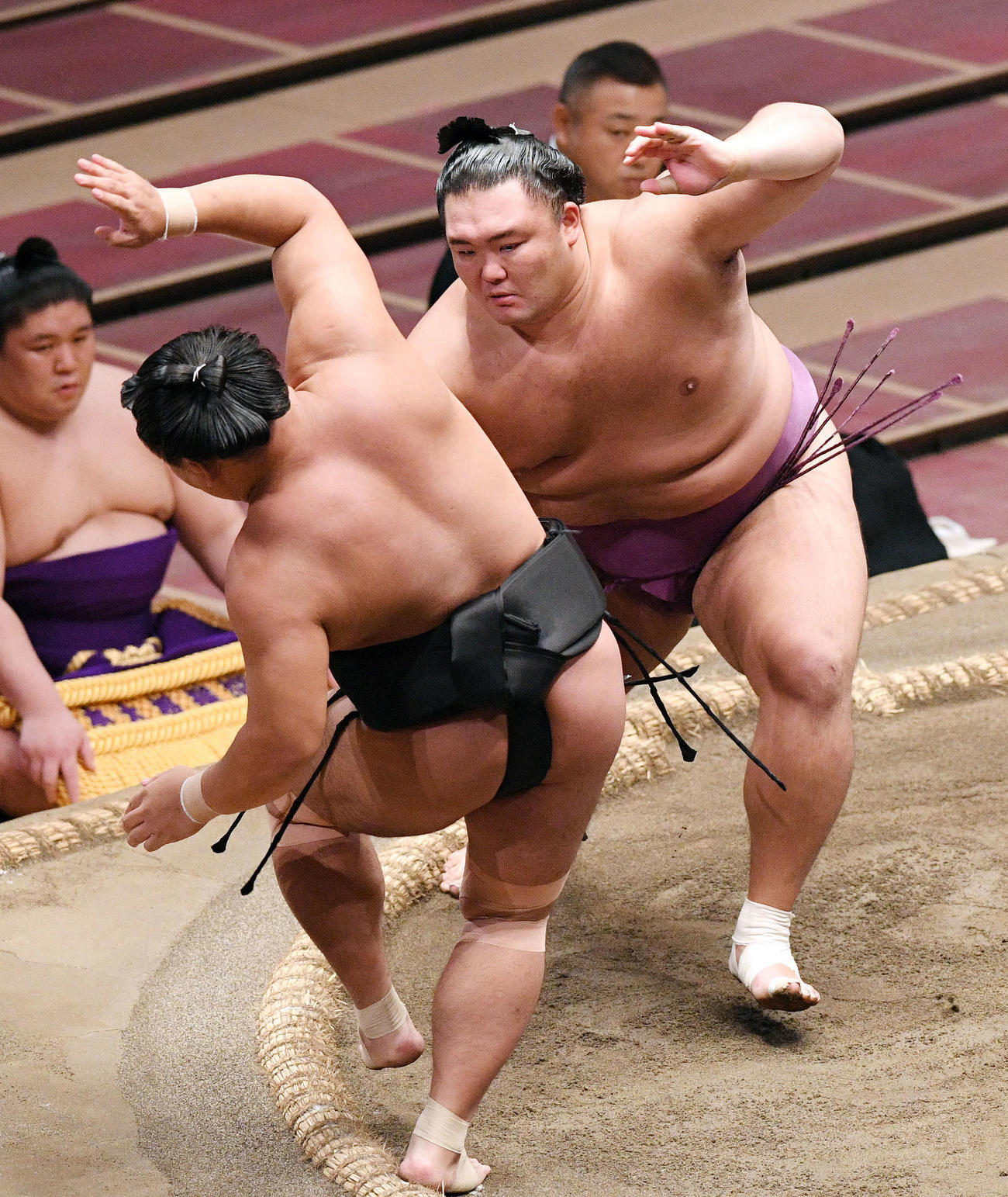 朝乃山（奥）は照強を押し出しで破る（撮影・滝沢徹郎）