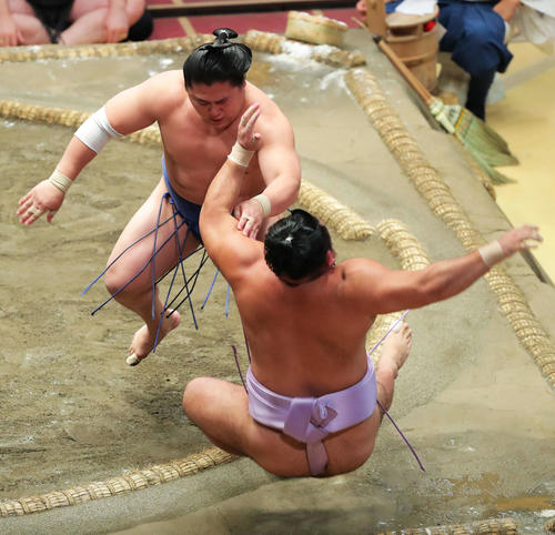 琴恵光(右)を押し出しで破る若隆景(撮影・河田真司)