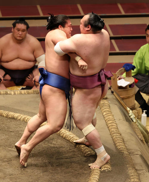 宝富士(右)を寄り切りで破る若隆景(撮影・鈴木正人)