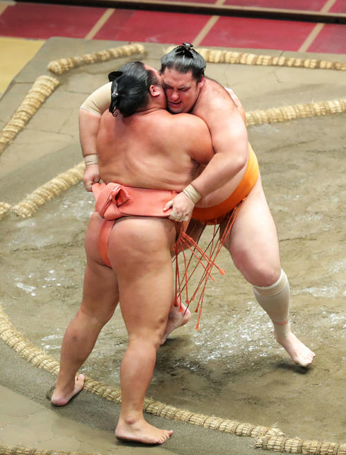 千代大龍(左)を寄り切りで破る魁聖(撮影・河田真司)
