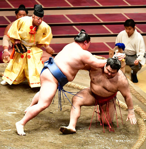 正代（左）は押し倒しで高安を破る（撮影・小沢裕）