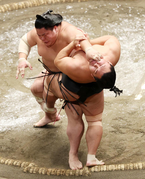 照強（手前）を押し出しで破る大栄翔（撮影・鈴木正人）