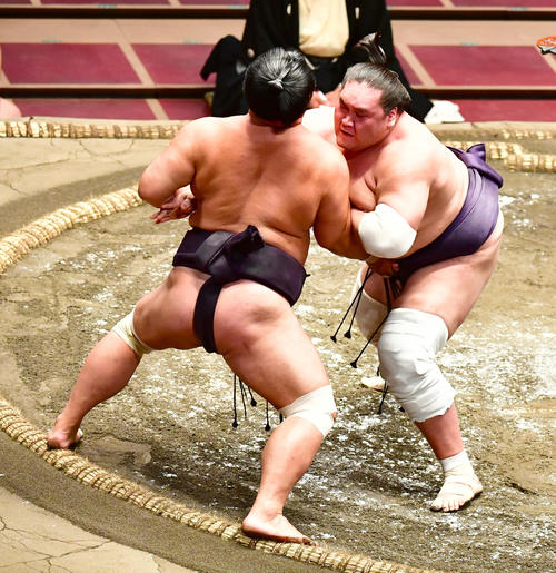照ノ富士（右）は寄り切りで妙義龍を破る（撮影・小沢裕）