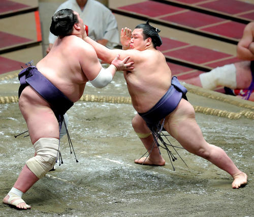照ノ富士（左）を攻める阿武咲（撮影・河田真司）　　　　　