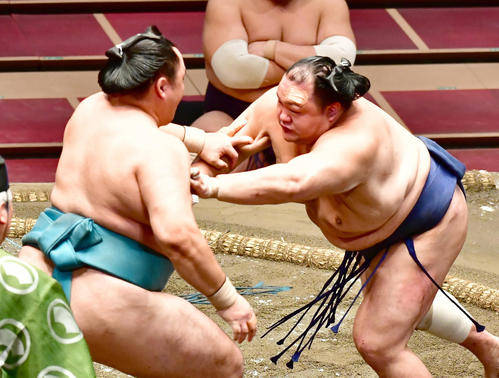 玉鷲（左）を突き押しで攻める北勝富士（撮影・小沢裕）