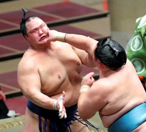 玉鷲（右）の攻めに耐える北勝富士（撮影・河田真司）　　　　　