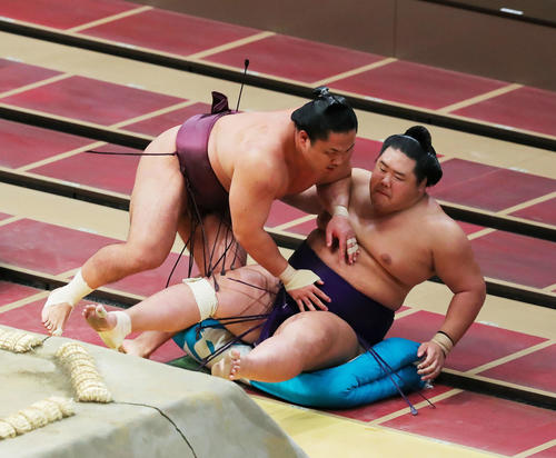 琴勝峰に突き出され、土俵下の明生（右）めがけ落ちる石浦（撮影・河田真司）　　　　　
