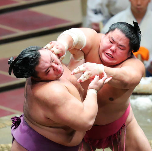 大栄翔（右）の攻めに耐える朝乃山（撮影・河田真司）　　　　　
