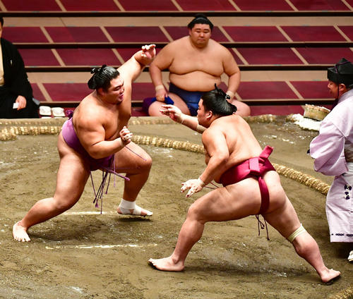 大栄翔（右）を土俵際へ追い込む朝乃山。中央土俵下は正代（撮影・小沢裕）