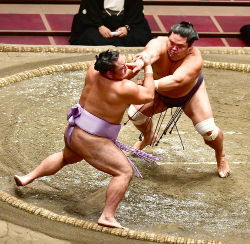 妙義龍（右）は押し出しで琴恵光を破る（撮影・小沢裕）