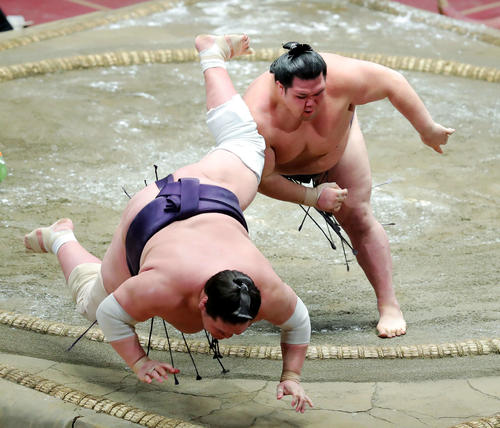 照ノ富士（左）を寄り倒しで破る阿武咲（撮影・河田真司）　　　　　